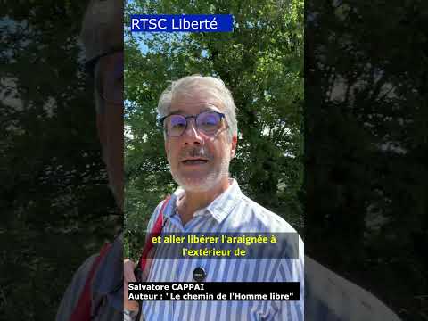 Réel 10 — Exemple de cas, une peur instinctive