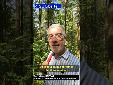 #13bis — Vous avez maintenant les clés pour comprendre vos réactions